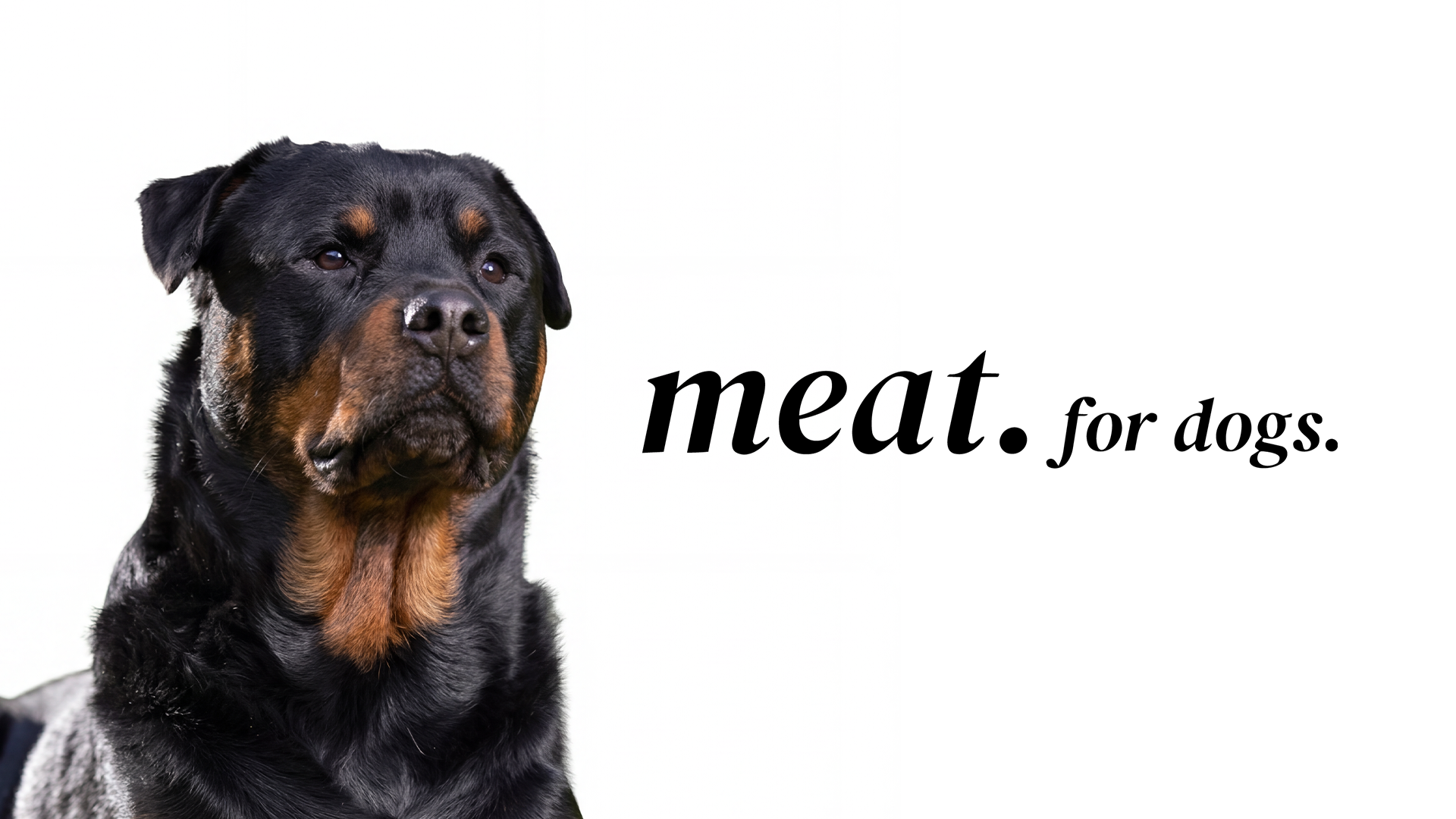 Meat for Dogs Press Release Image 2