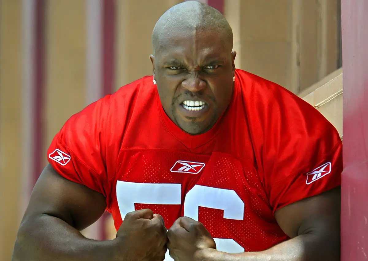 Terry Tate- Office Linebacker